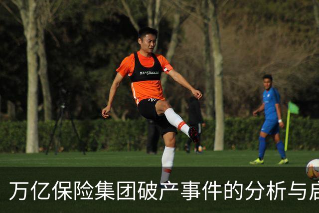 万亿保险集团破产事件的分析与启示