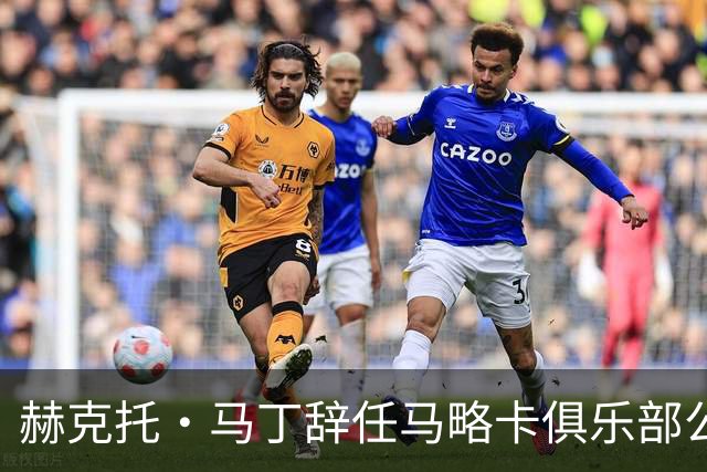 赫克托·马丁辞任马略卡俱乐部公关与媒体总监职务